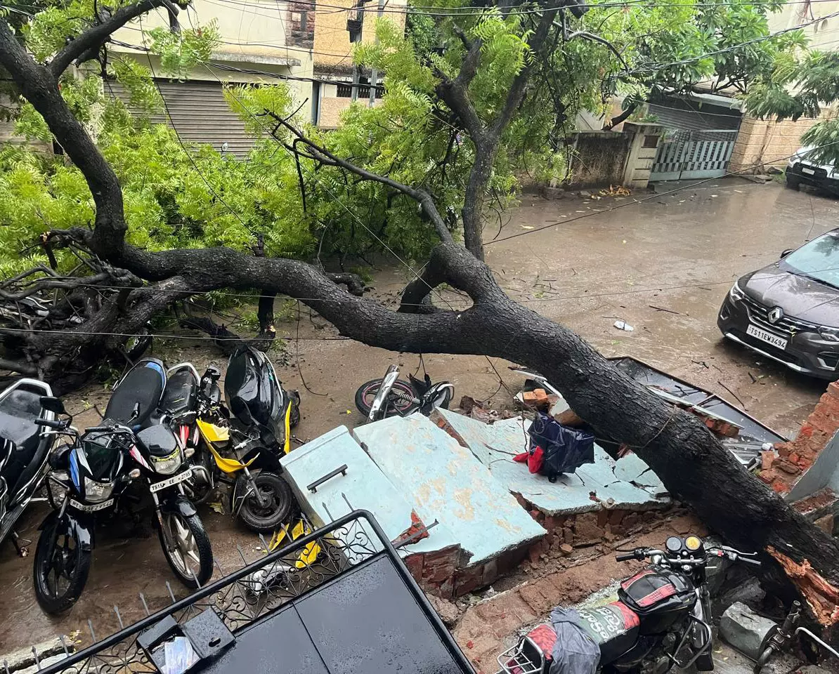 Trees Uprooted After Heavy Rain in Musheerabad