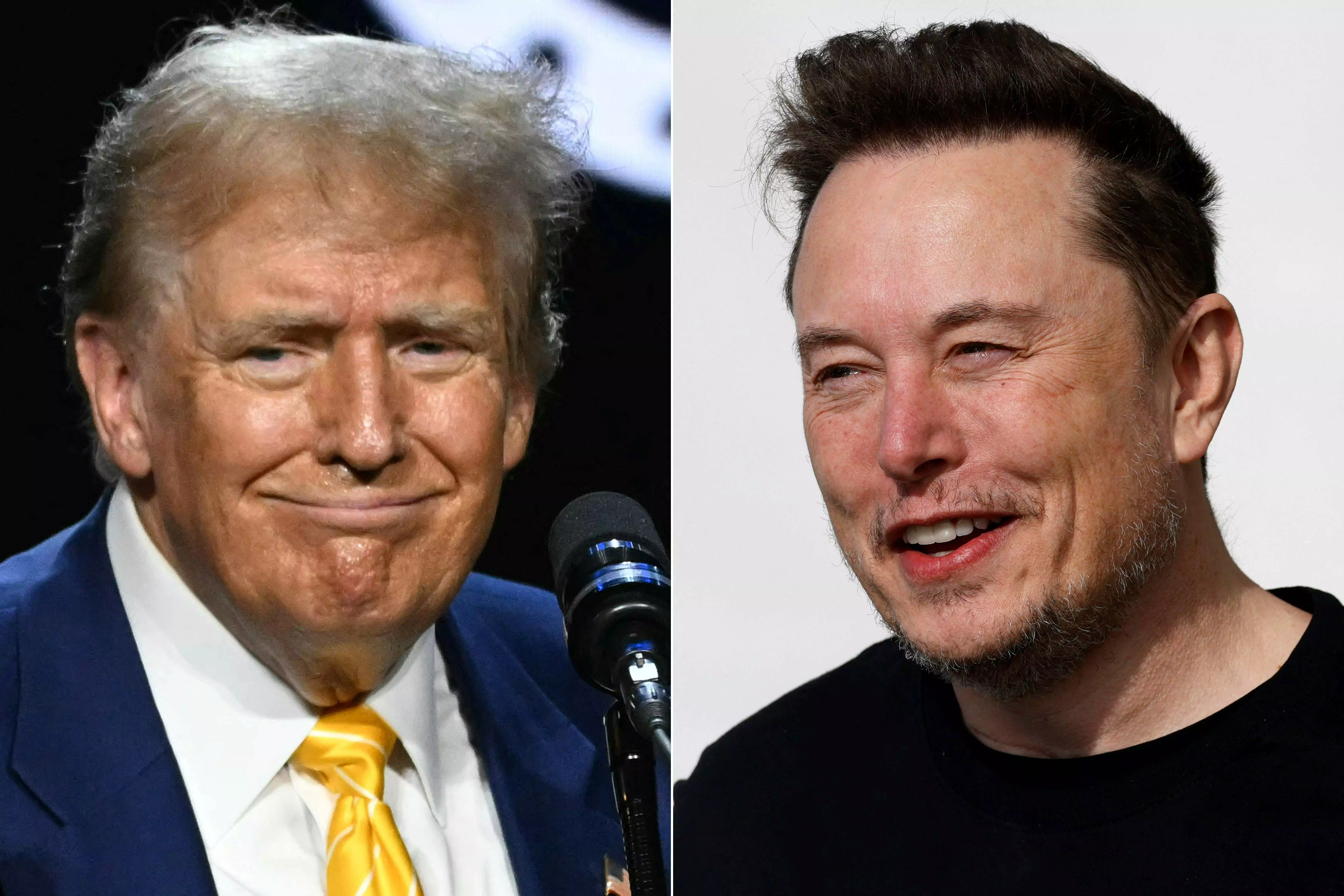 Trump and Musk discuss assassination attempt and deportations in glitchy X chat