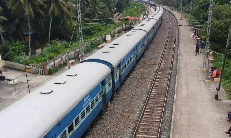 Crocodile strays onto UP railway track, fatally struck by train