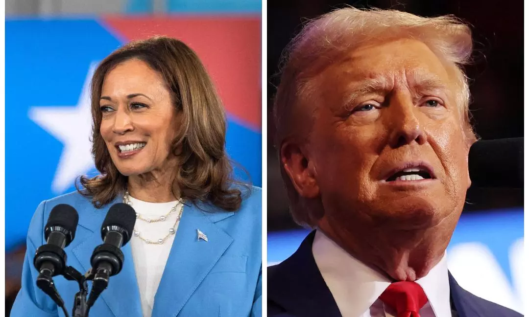 Trump keeps it personal as Harris basks in poll surge