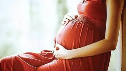 Bodily autonomy is fundamental right, says HC; allows woman to terminate 22-week pregnancy from live-in