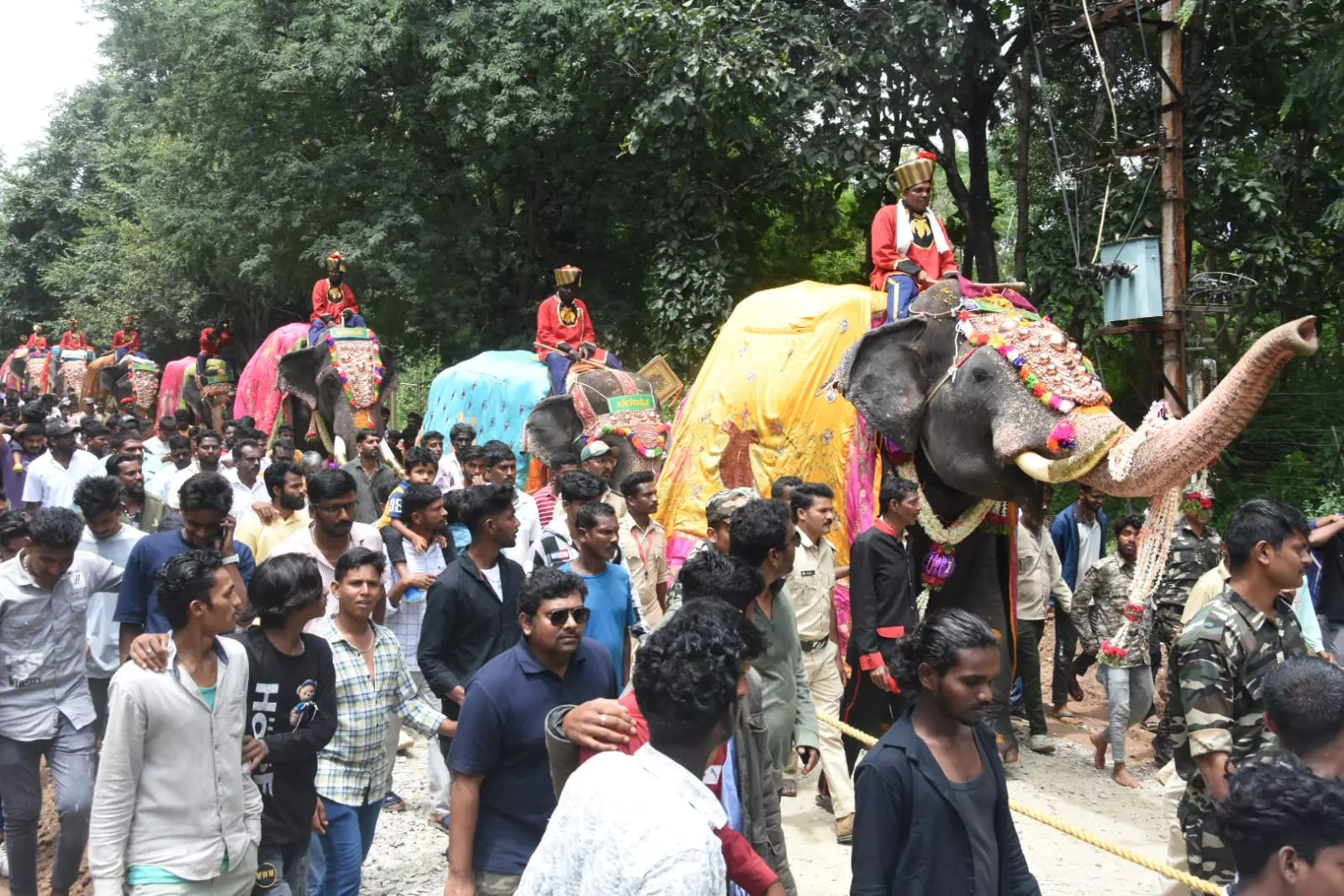 First Batch of Dasara Elephants Reach Mysuru