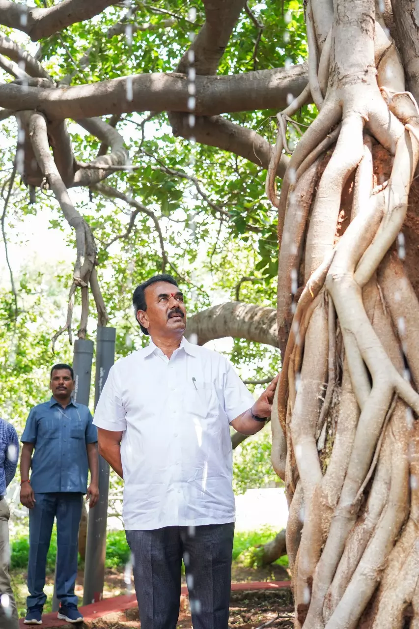 Jupally Reopens Pillalamarri, Announces Rs.5 Crore Package