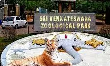 Tirupati Zoo’s Nocturnal House to Open With TTD Funding Boost