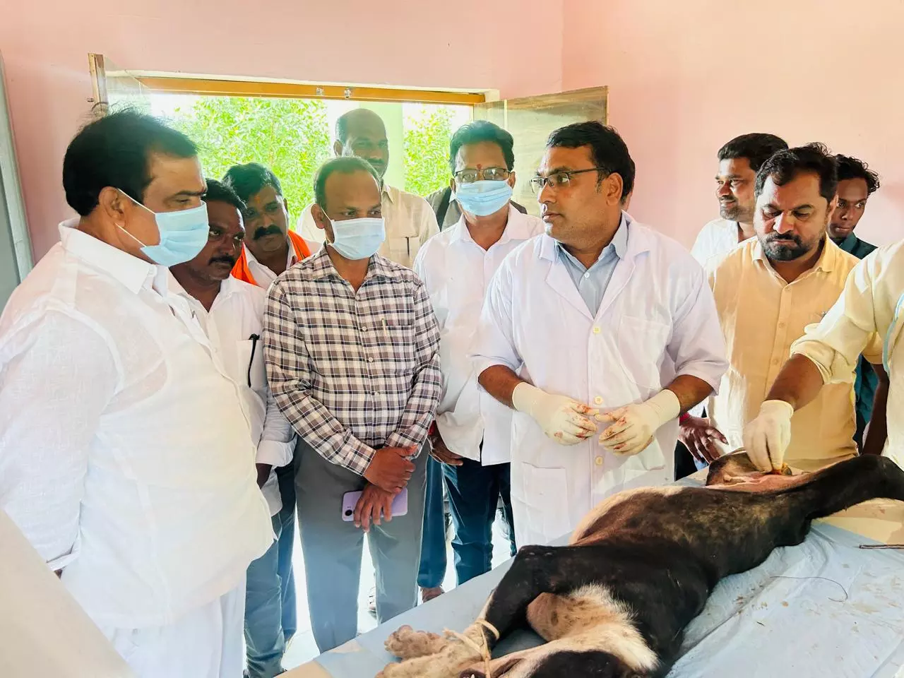 Adilabad civic body begins sterilisation of strays