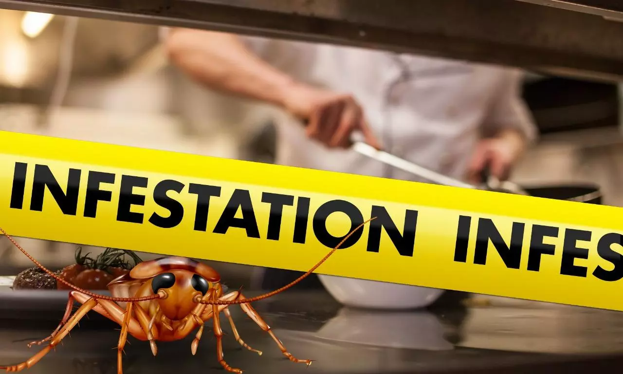 Cockroach Found in Kheema Dish Leads to Rs 5,000 Fine for Nizamabad Hotel