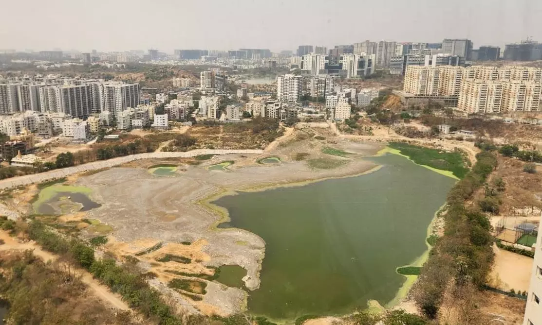 Development, Poor Oversight Drain Out Lakes in Hyderabad