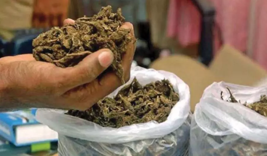 Srikakulam police nab Odisha man for smuggling Ganja in Ichapuram