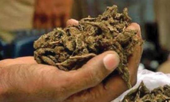 Excise Police Seize 4 Kg Ganja Arrest Four In Hyderabad