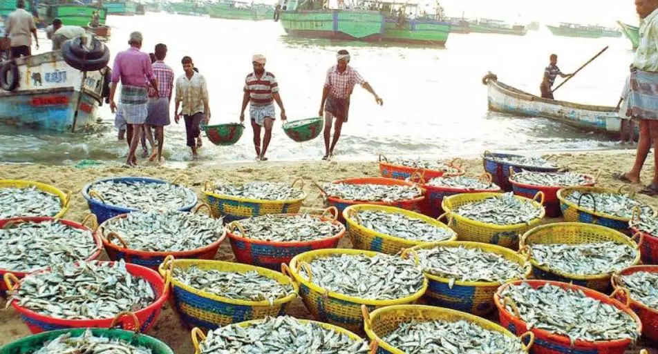 10 Teams Search for Kidnappers of Fish Trader