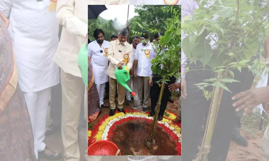 One Crore Saplings as AP’s Target This Year, Says CM Naidu