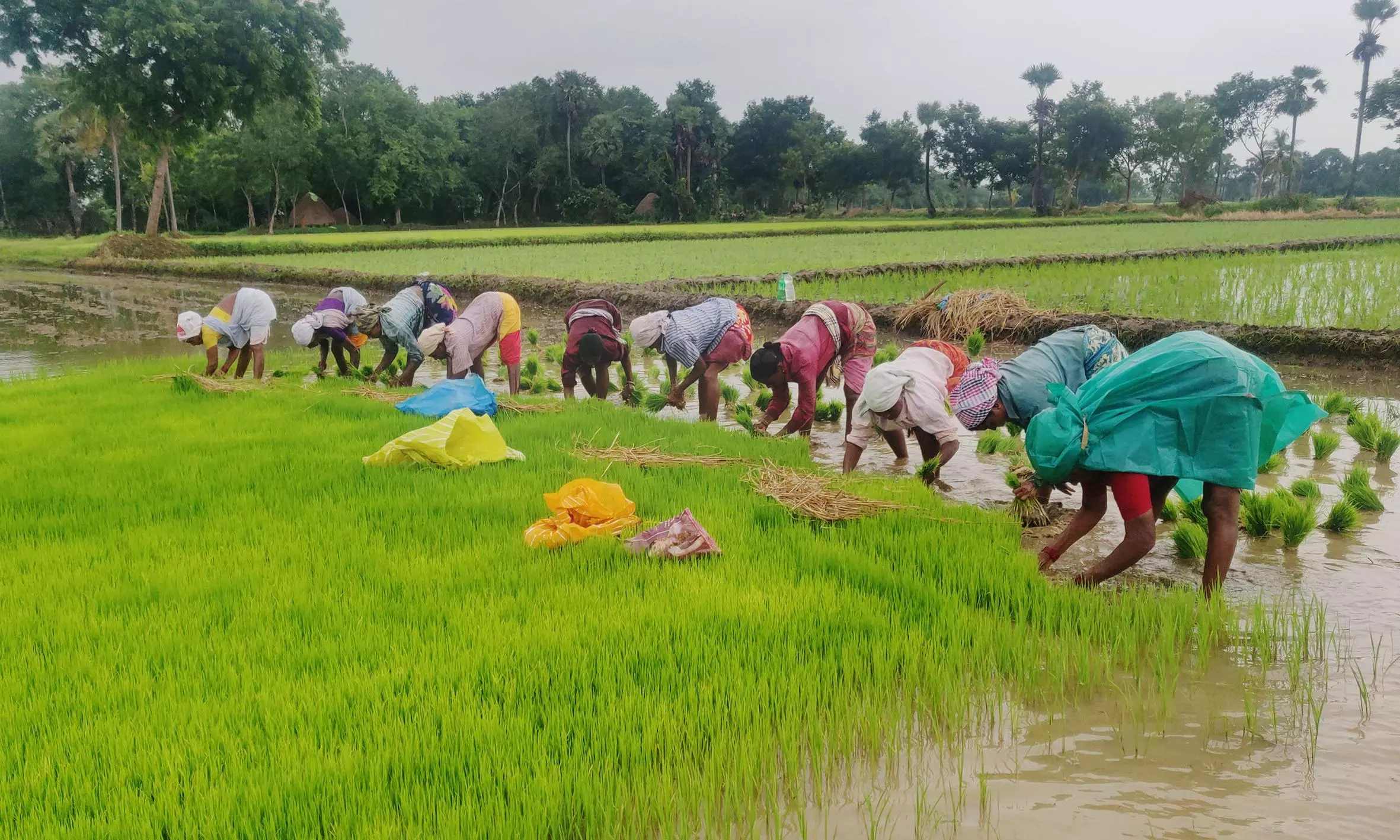 Agriculture Department Enlisting Names of Farmers Who Could not Avail Loan Waiver