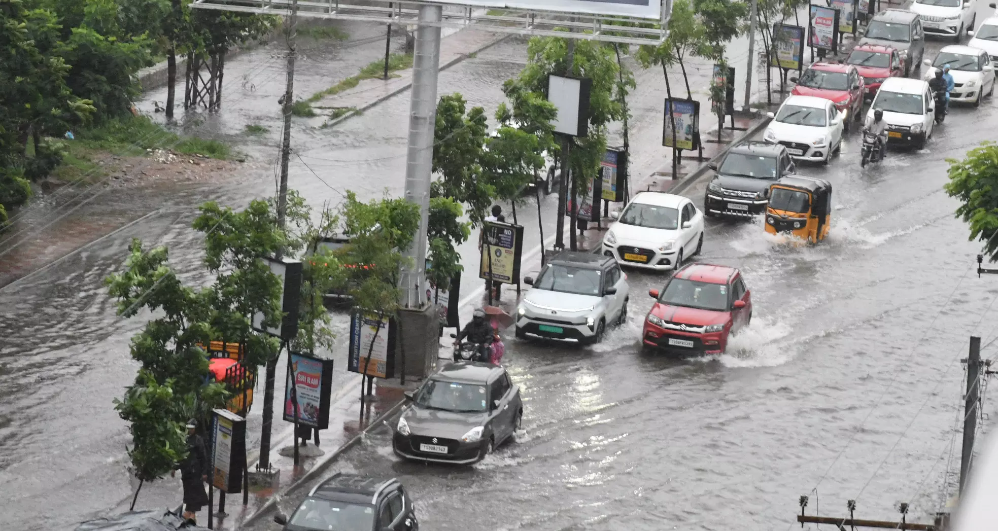 Rains help creeper plants multiply along Vizag roads