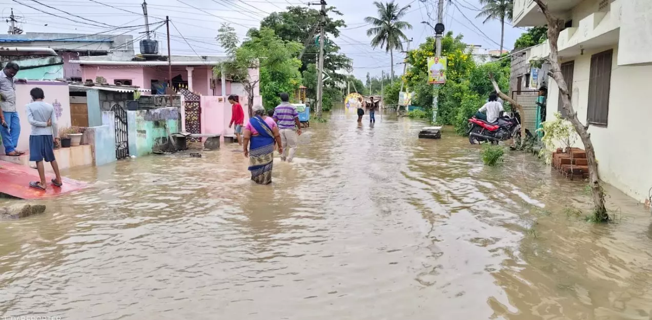 5.50 Lakh Food Packets and Supplies Sent to Rain-Affected Areas