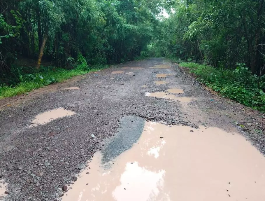 Damaged Road in Nallamala Troubles Commuters