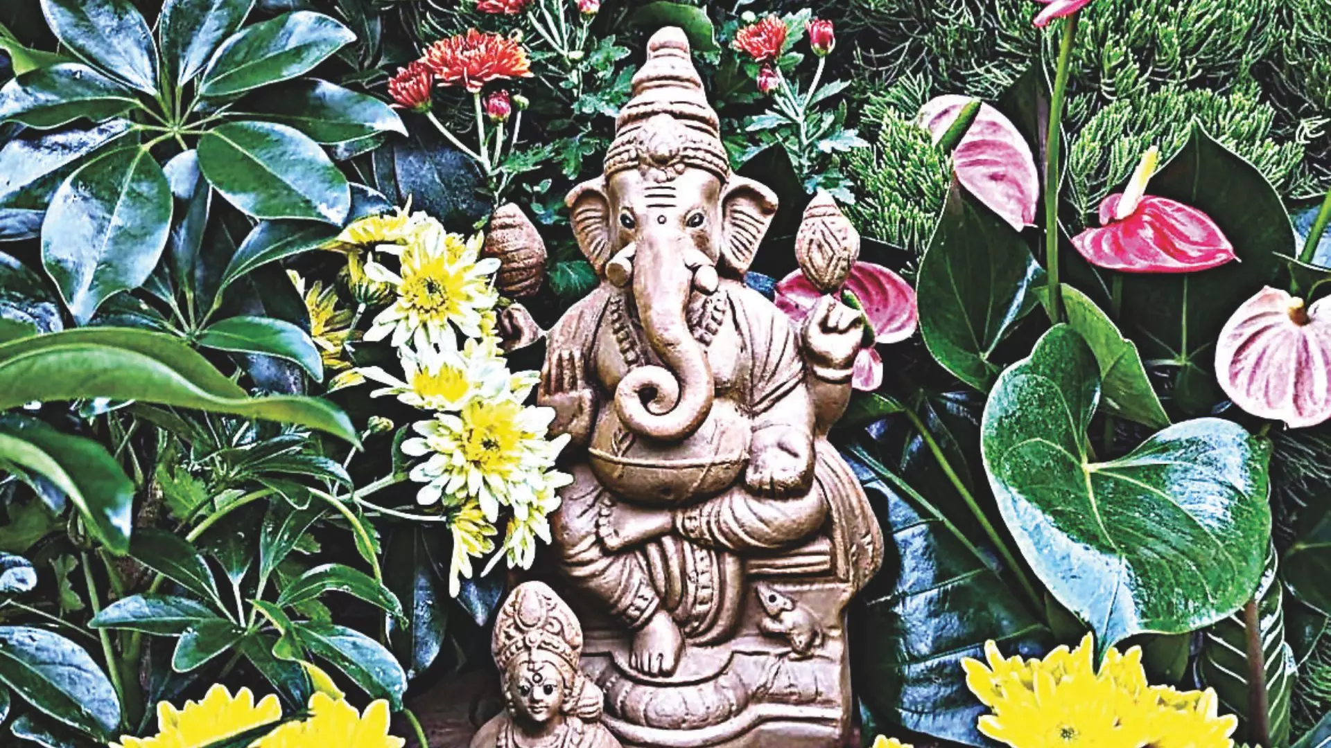 Bappa Blooms