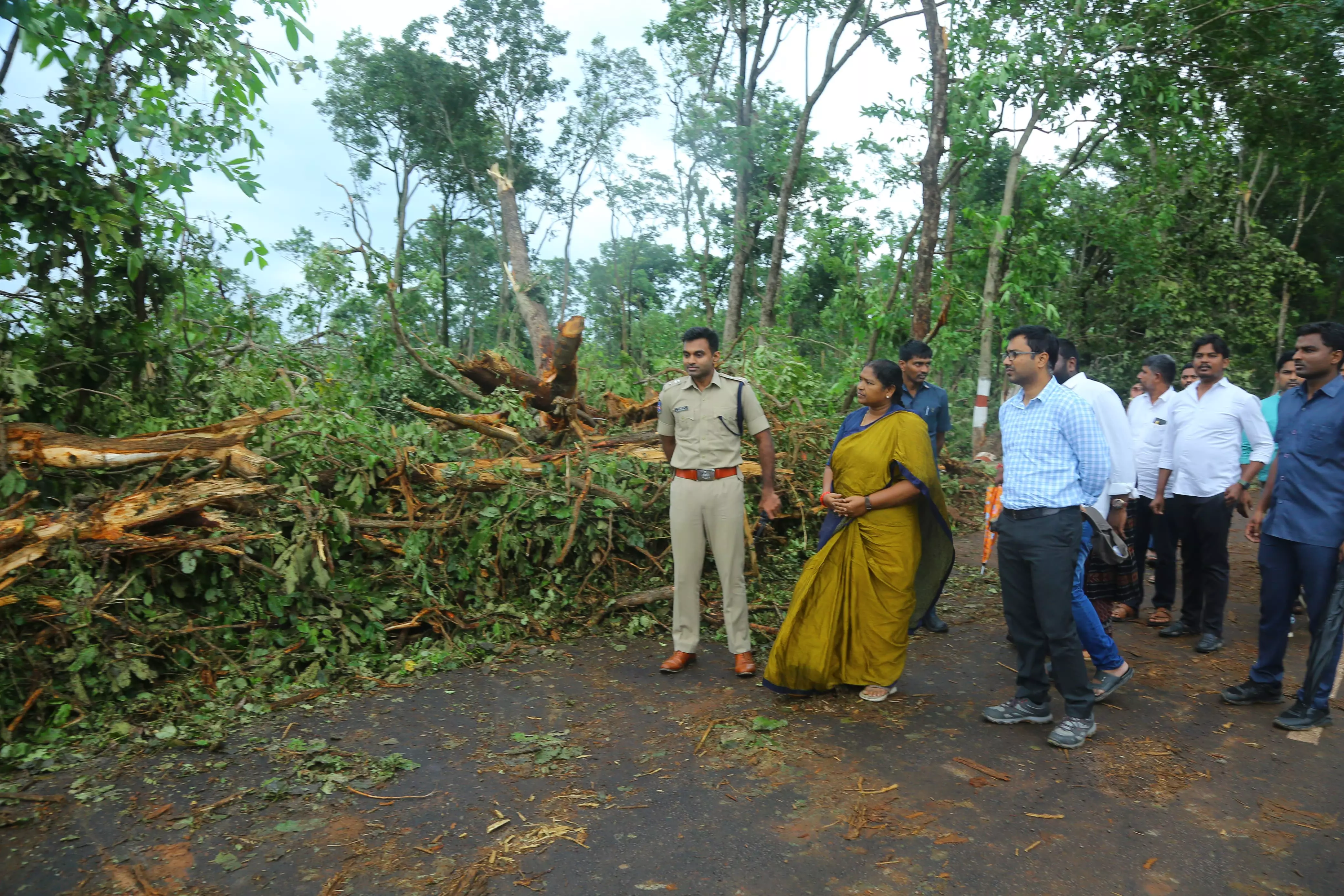 Centre urged to sanction spl funds to restore Mulugu forest