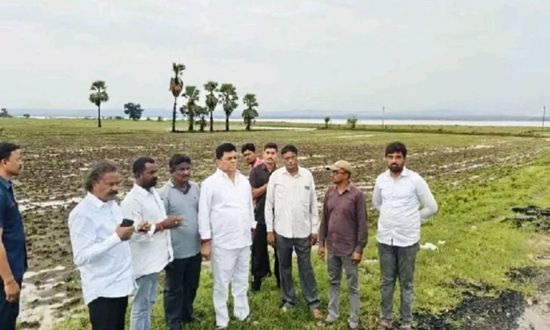 Telangana Officials on Alert As Heavy Rains Hit Warangal