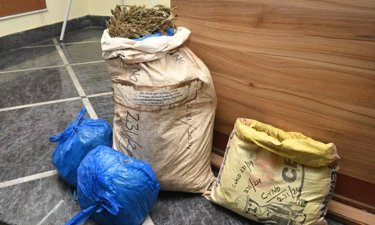 Vizag: Nine Arrested, 22 Kg Ganja Seized