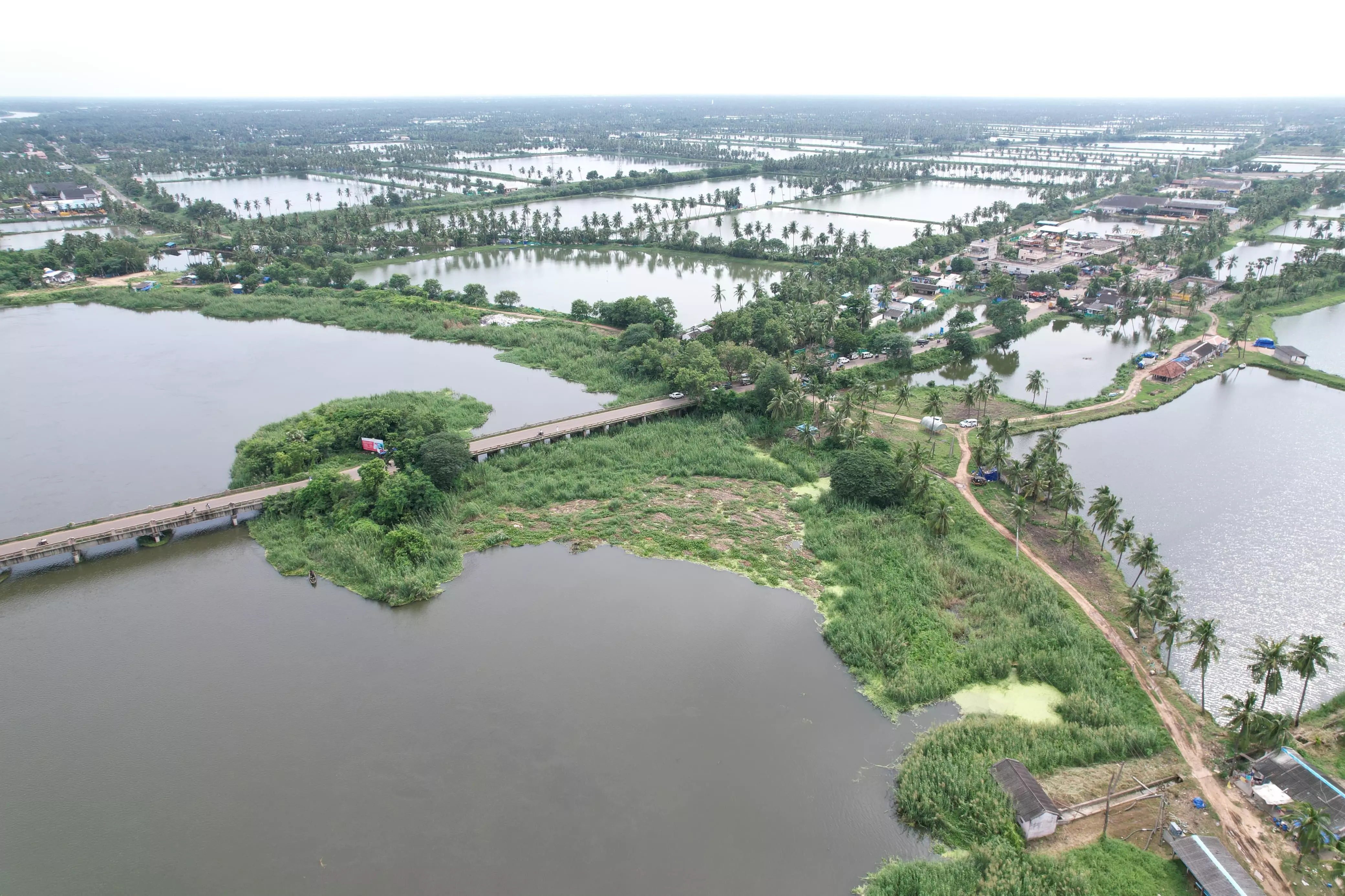 Overflowing Kolleru inundates parts of Eluru district