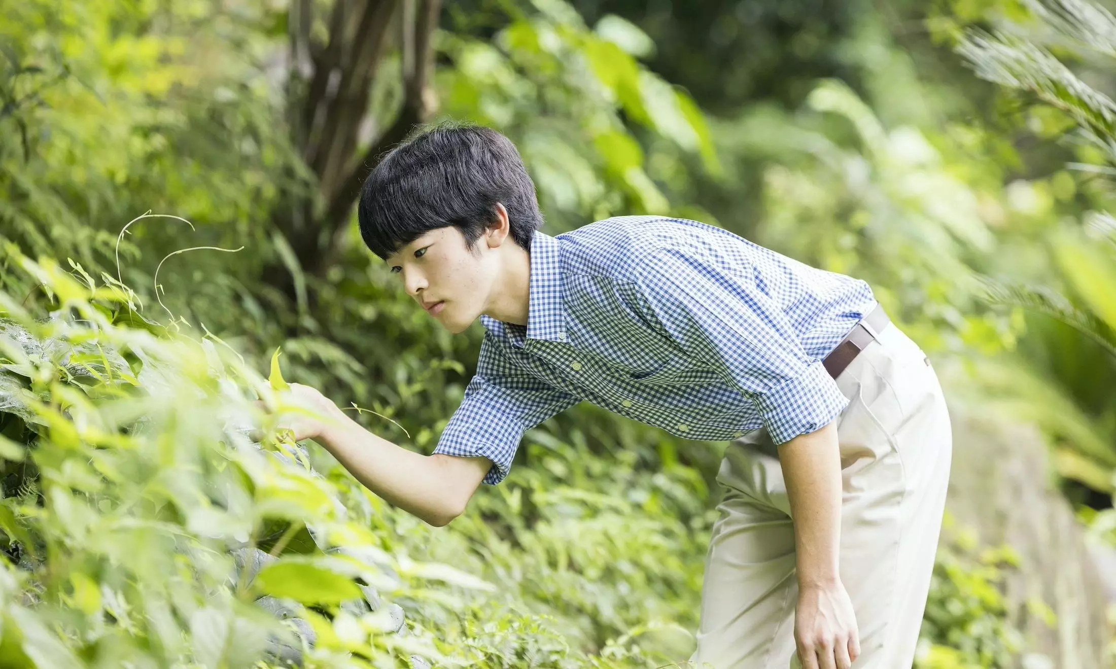 Prince Hisahito, first royal male to reach adulthood in Japan in 4 decades