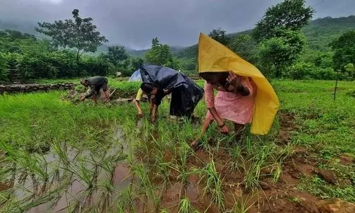 Rythu Sangham urges government aid for rain-affected farmers