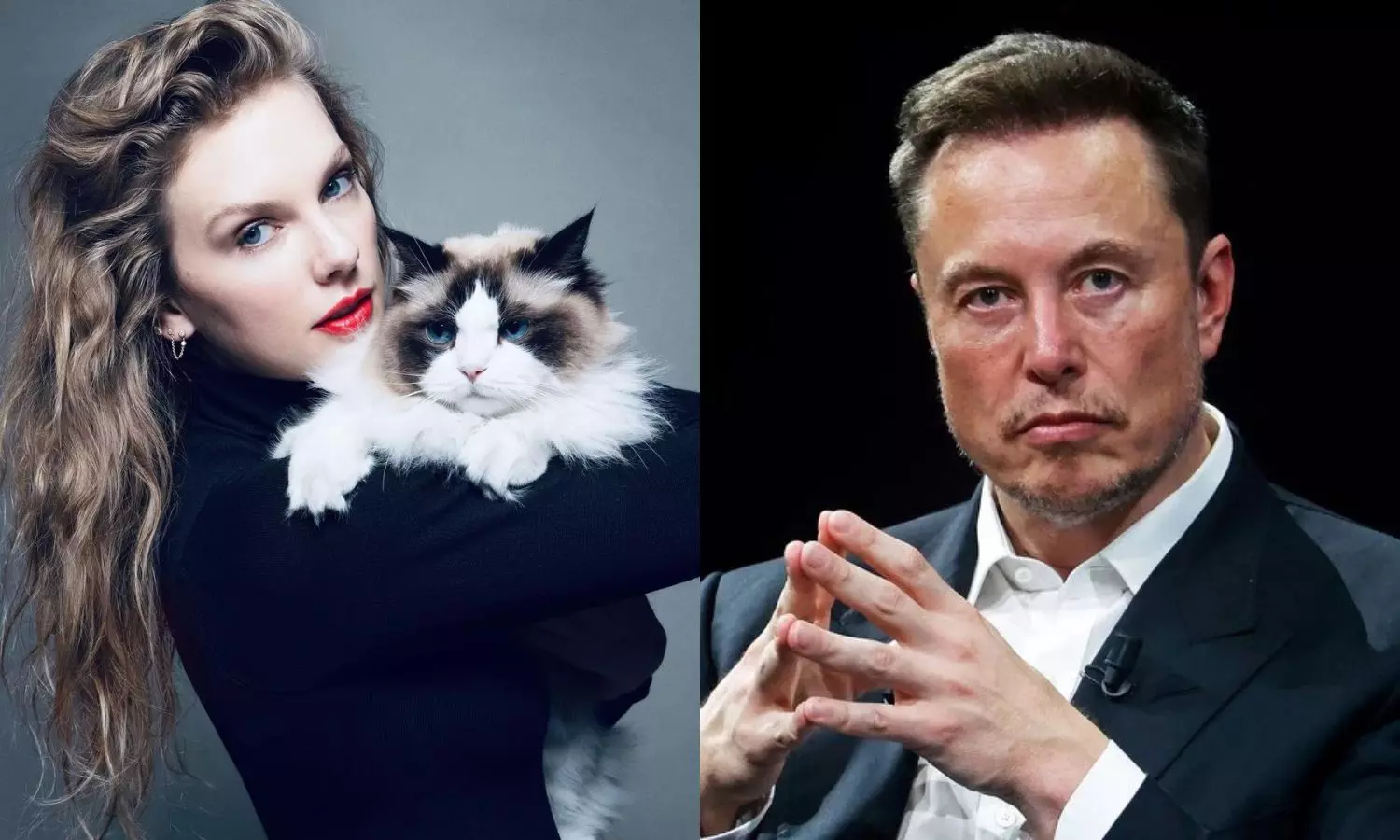 Elon Musk Takes a Dig At Taylor Swift After She Endorses Kamala Harris in US Elections