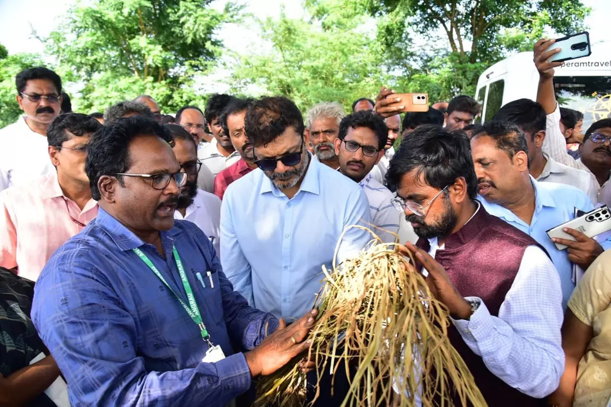 Central team arrives in Andhra Pradesh to assess flood damage