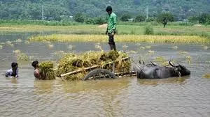 Farmers narrate flood-created hardships to Central Team; requests for help