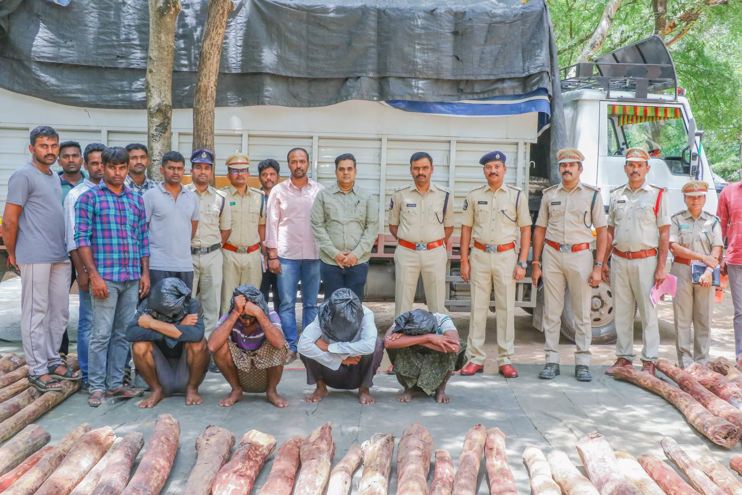 Red Sanders Smuggling Foiled, Logs Worth Rs 62.5 Lakh Seized, 4 Arrested