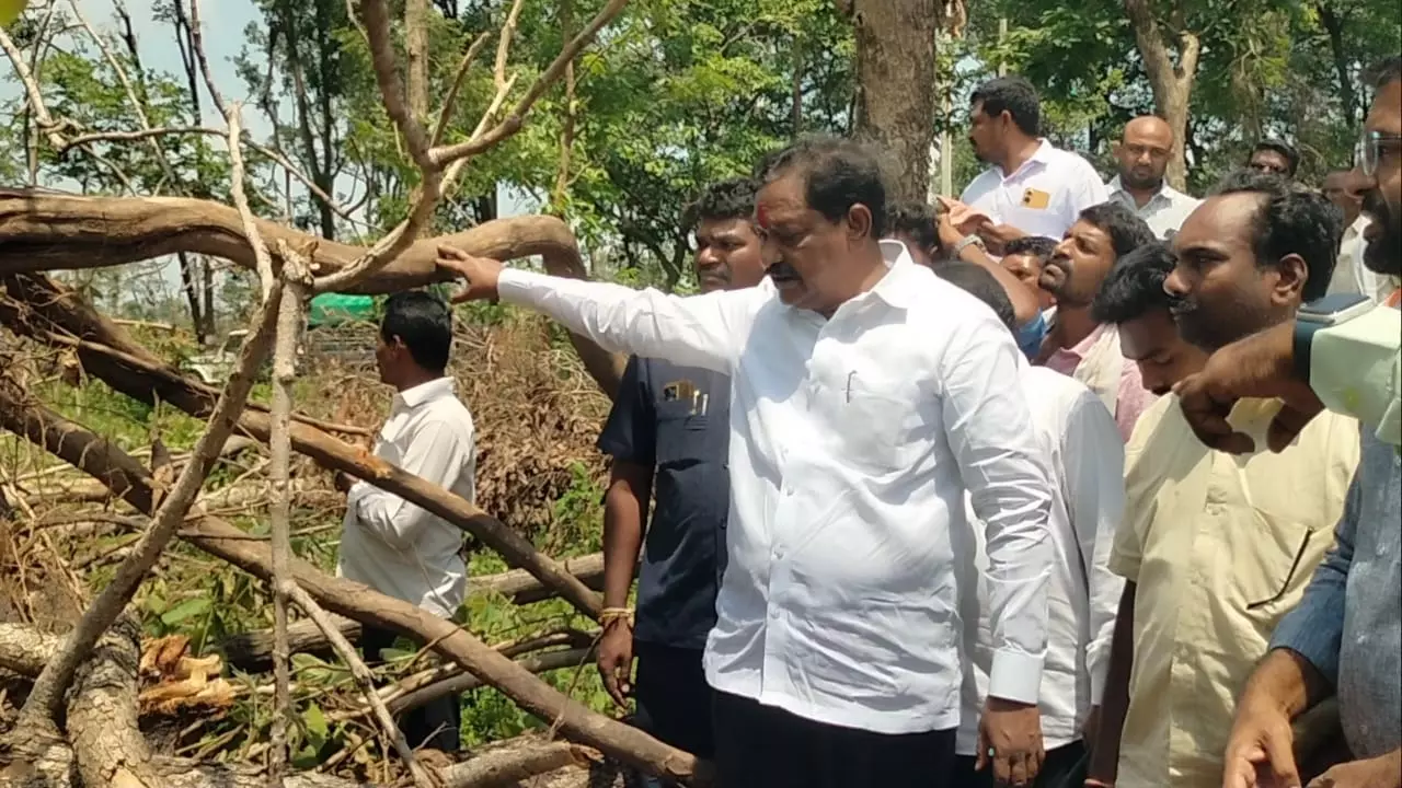 Cloudburst wiped out forest wealth in Mulugu: Podem Veeraiah