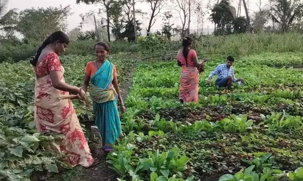 30 organic farming families from Srikakulam setting example for AP