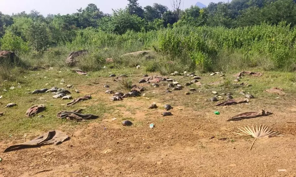 64 turtles die in ASR district