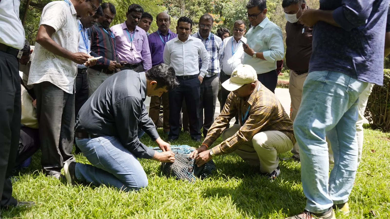 Fitting stray dogs with microchips begins in Bengaluru