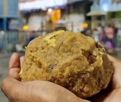 Probe Tirumala Laddu Scam, Jagga Tells Naidu