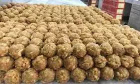 SC should take suo motu cognisance of Tirupati laddu adulteration allegations: VHP