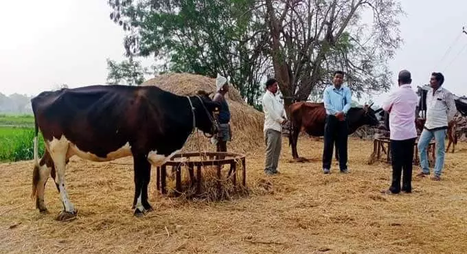 Help dairy farmers in Telangana: Gudur urges the CM