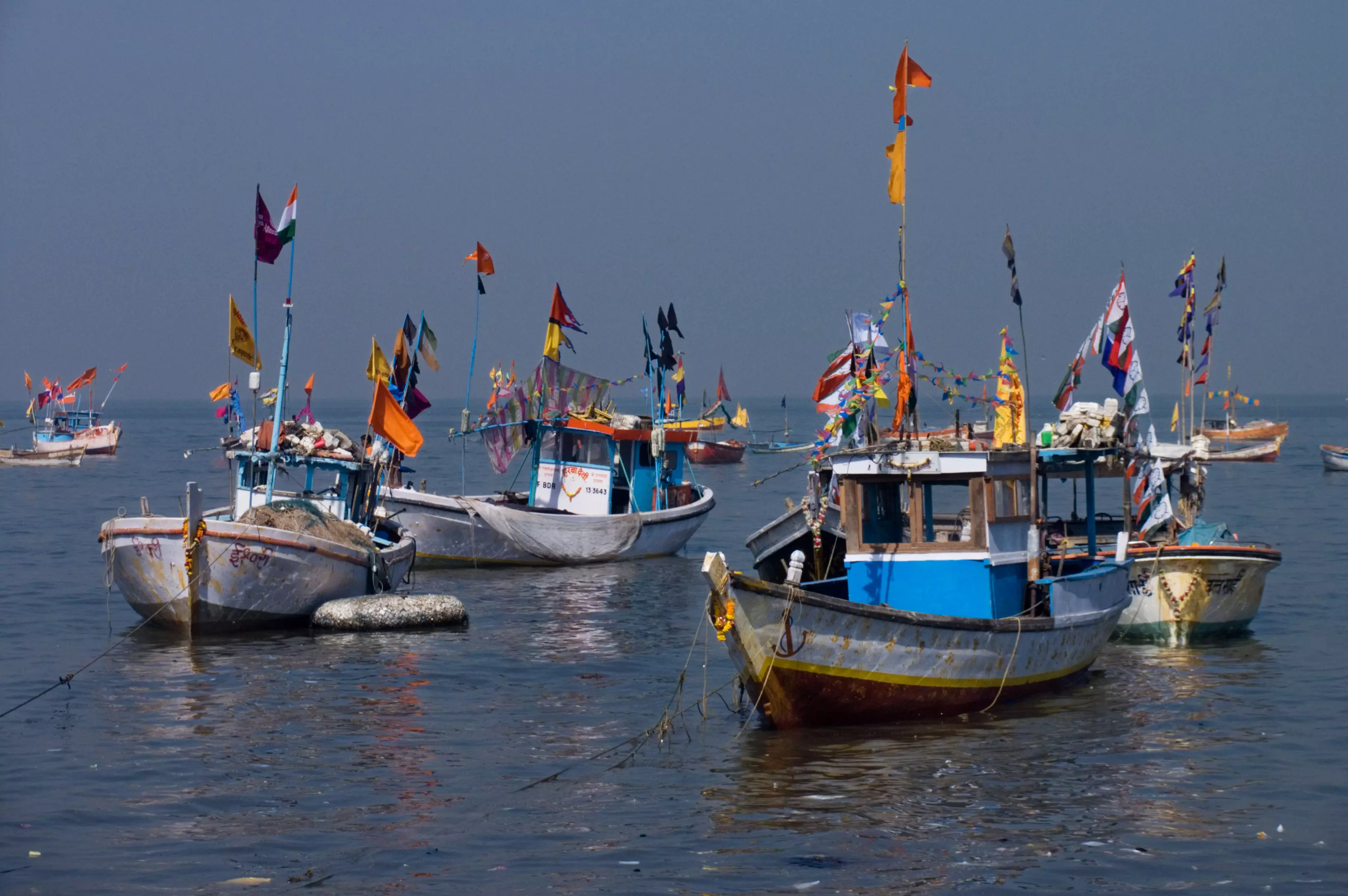 Sri Lanka Navy Arrest 14 Indian fishermen for alleged poaching