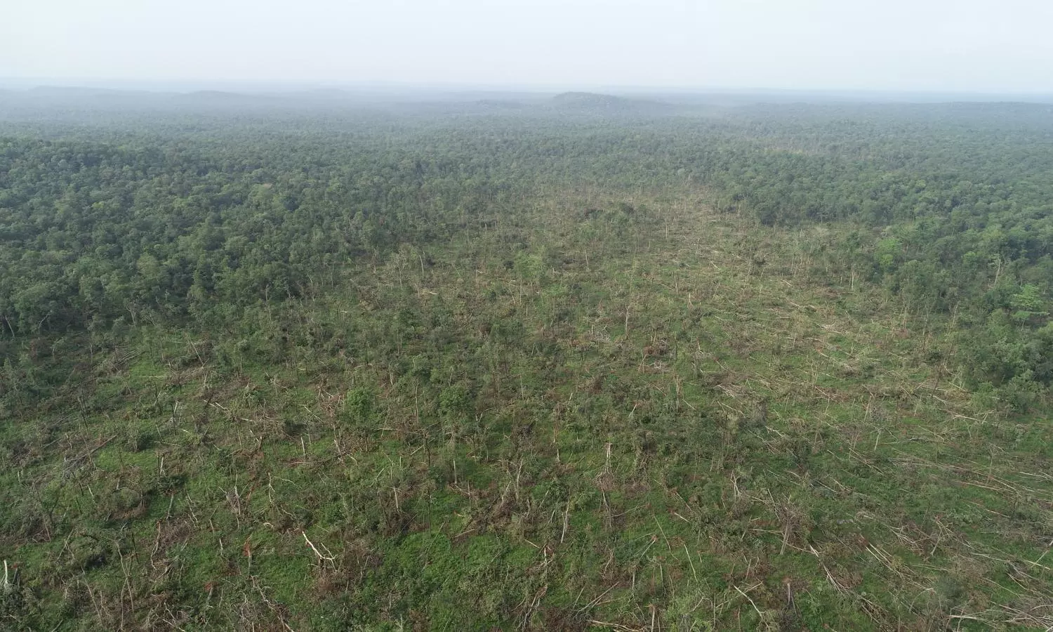 Cyclone Collision Caused Massive Tree Damage in Mulugu