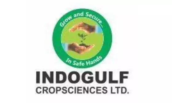 Indogulf Cropsciences Files DRHP With Sebi For IPO