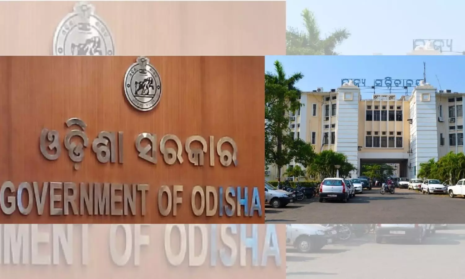 Odisha govt announces maternity, paternity leave for surrogate parents