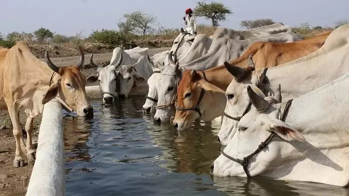 Madhya Pradesh to Launch 21st Animal Census in October or November