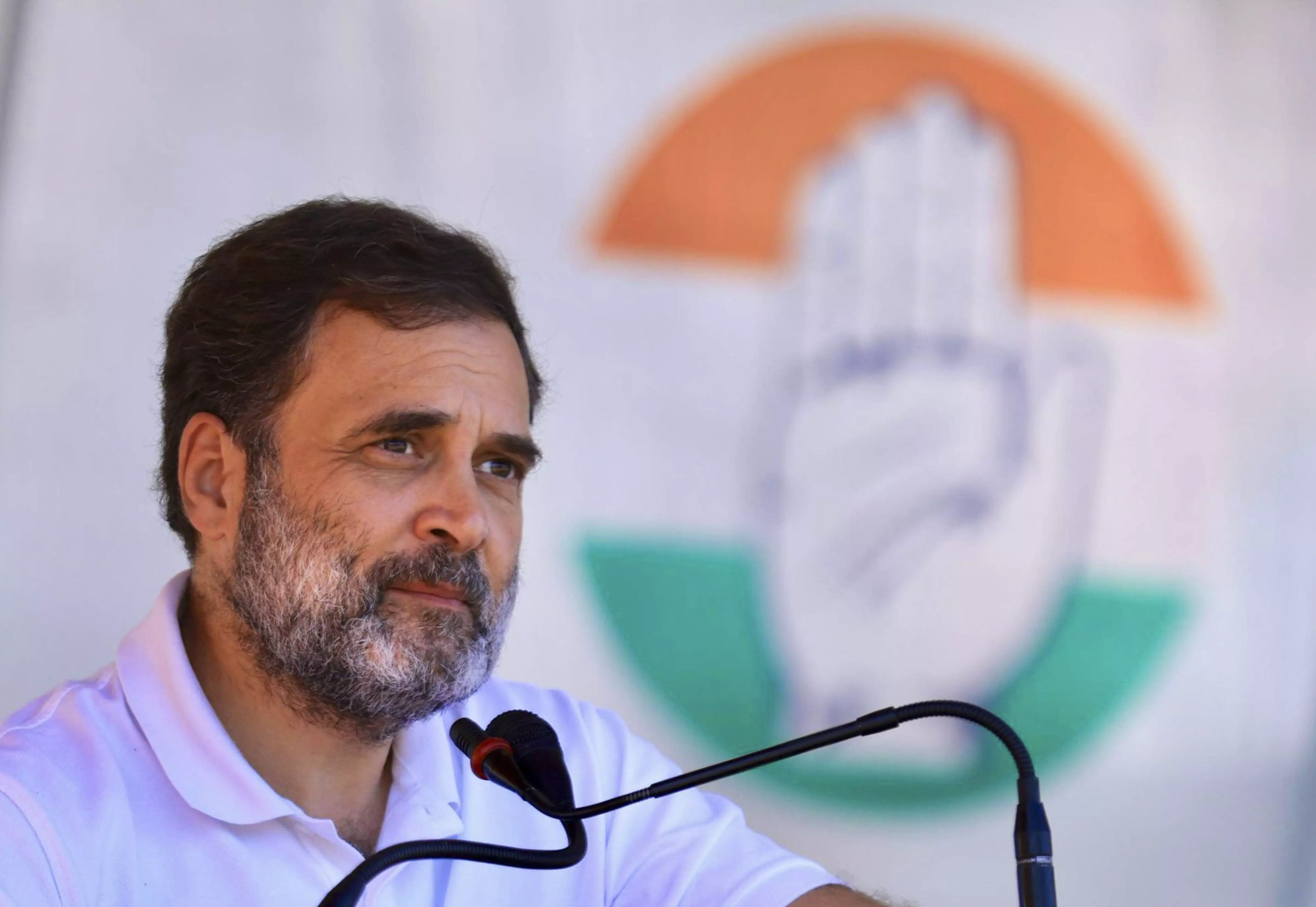 Congress will End Decade of Pain in Haryana: Rahul