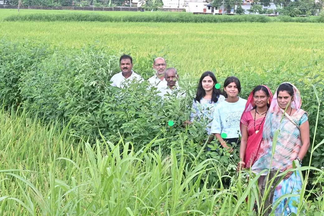 Parastarai village leads water conservation revolution in Chhattisgarh