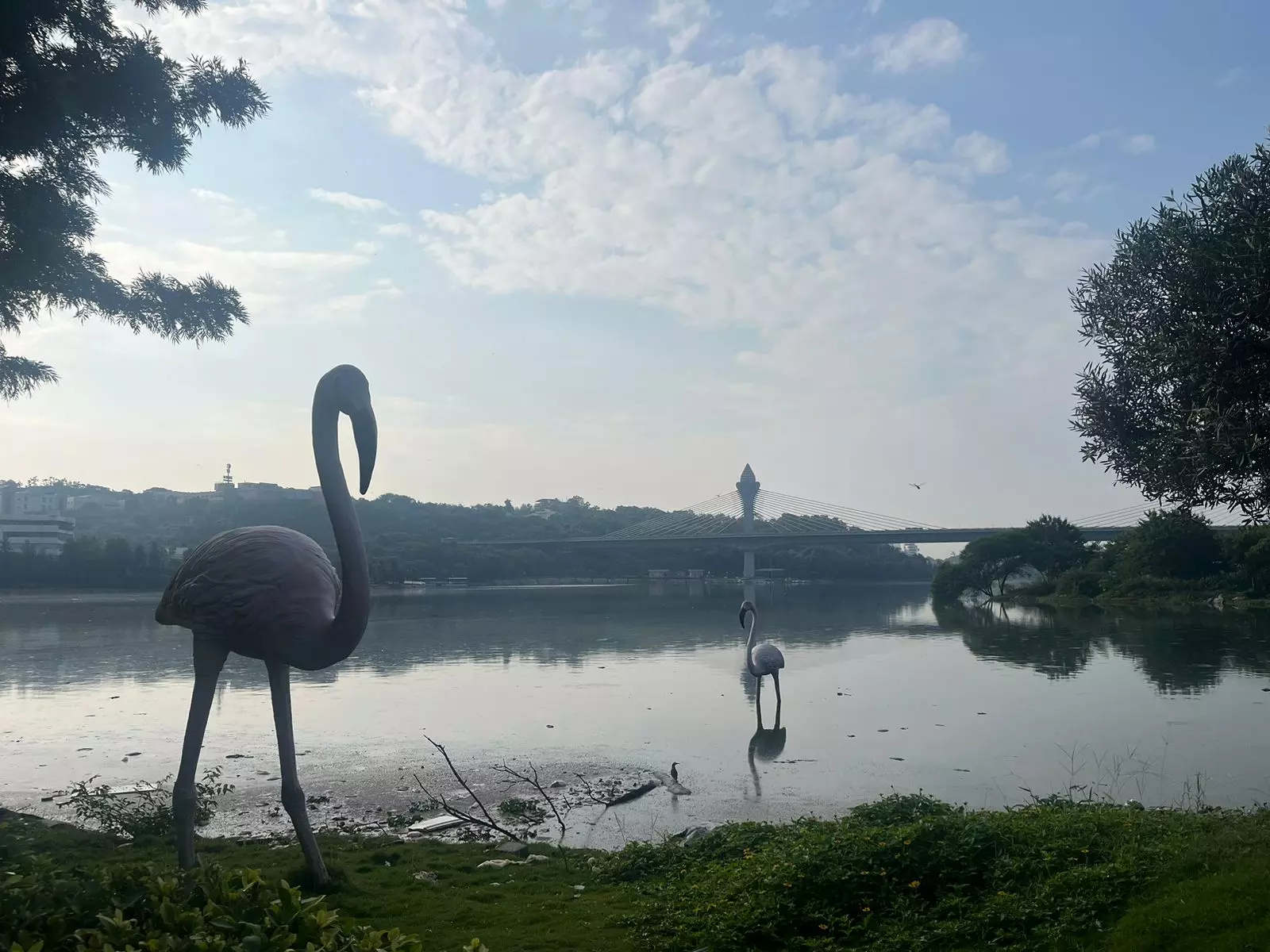 Durgam Cheruvu Shut As Sewage and Waste Pollute Lake