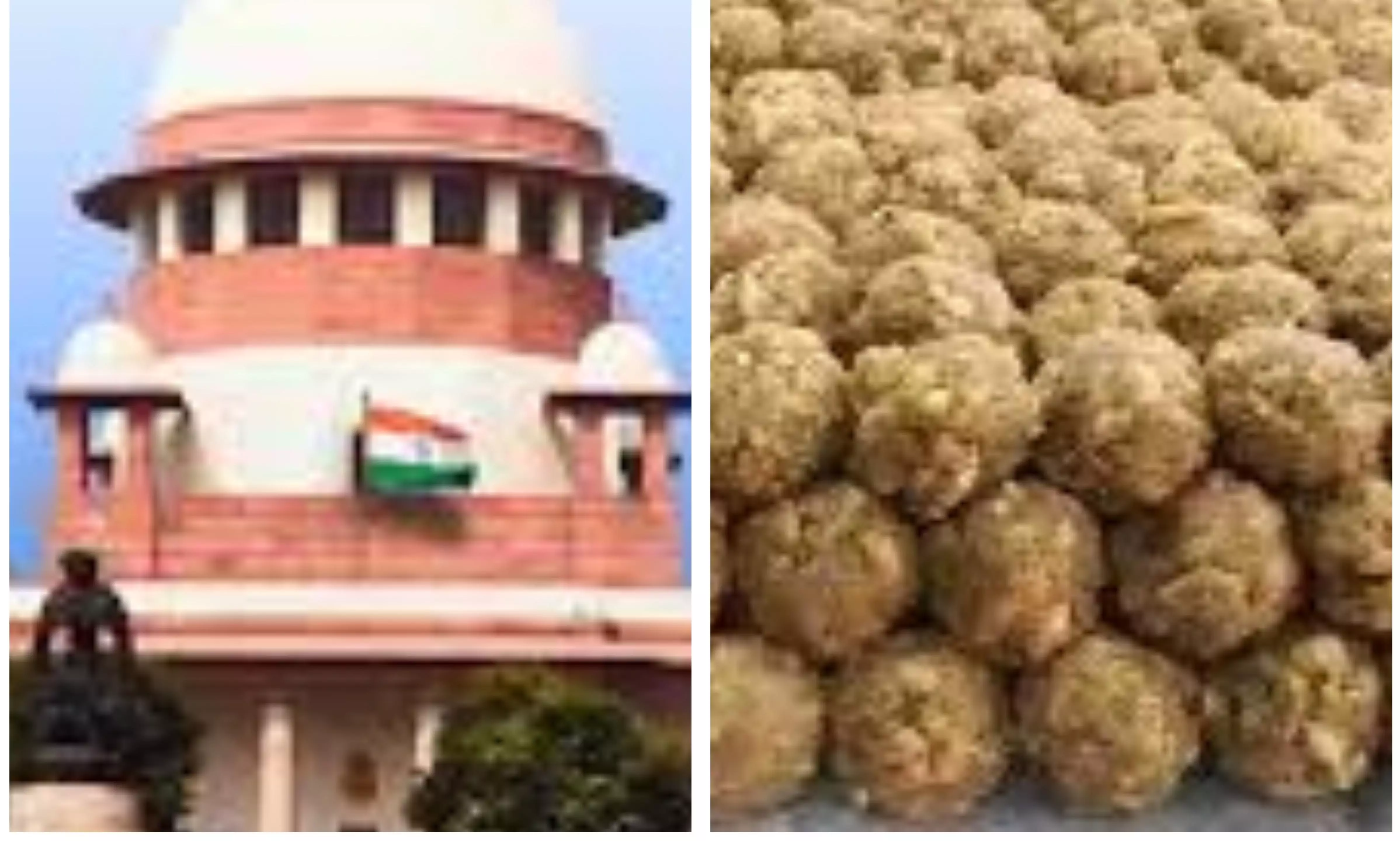 Laddu Row: SC Seeks Word From Centre on SIT Probe