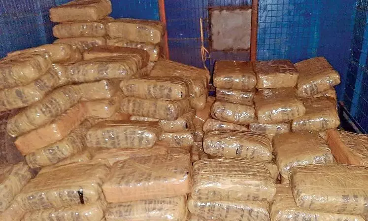 Khammam Cops Dispose Seized Ganja