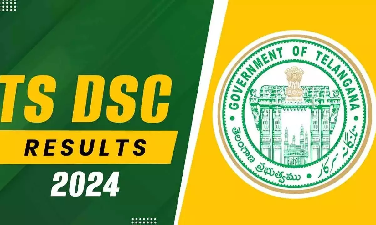 DSC Results Spark Hope for 2008 BEd Candidates