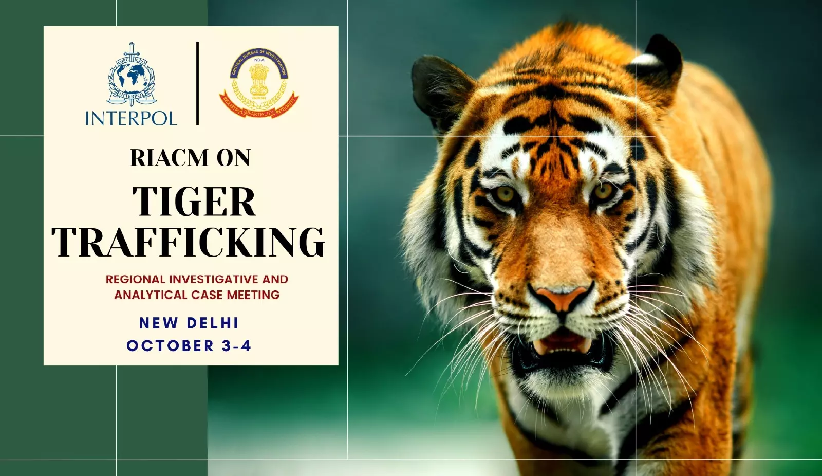 CBI, INTERPOL Host Regional Investigative Meet On Combating Tiger Trafficking