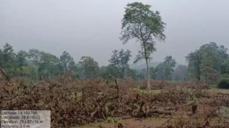 Forest Dept Told to Help Tribals Farm in Their Patta Lands